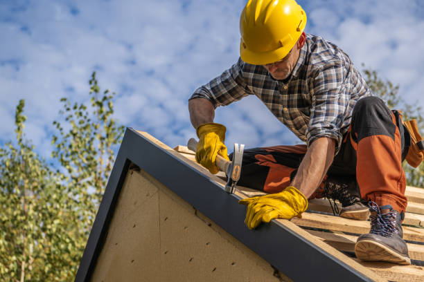 Best Chimney Flashing Repair  in Scissors, TX